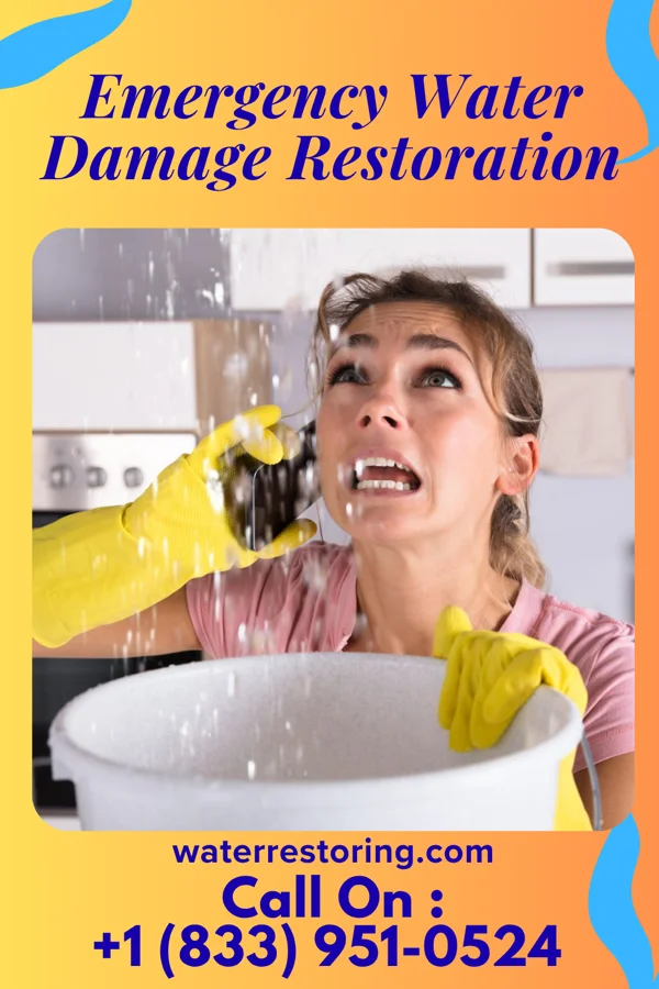 Emergency Water Damage Restoration in Alpine Northeast, WY