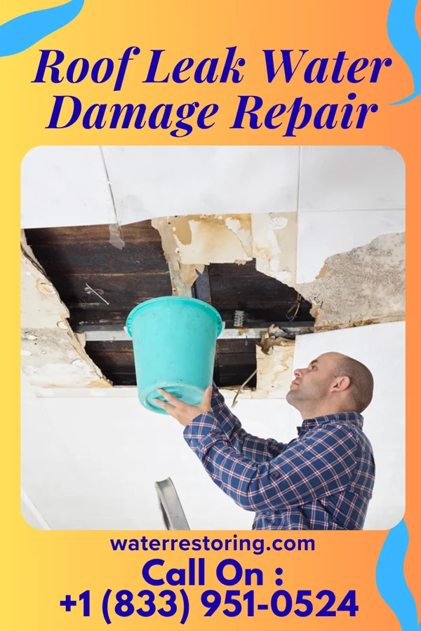 Roof Leak Water Damage Repair in Alpine Northeast, WY