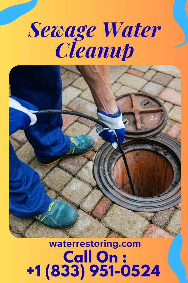 Sewage Water Cleanup in Alpine Northeast, WY