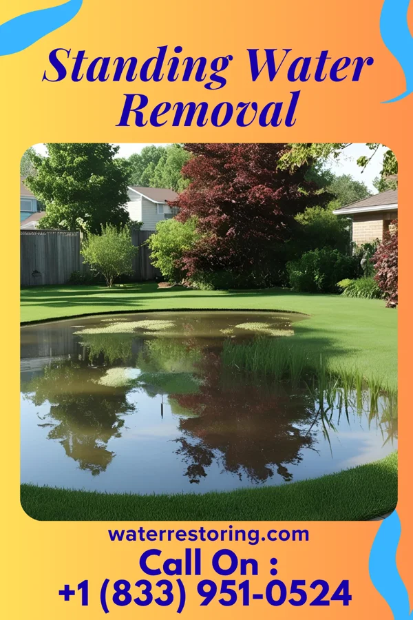 Standing Water Removal in Alpine Northeast, WY